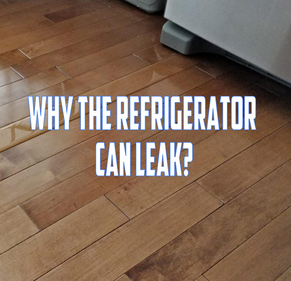 refrigerator leak